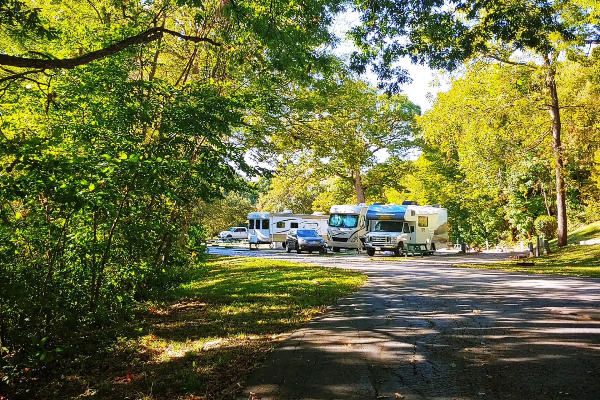 A serene campsite with four RVs parked under tall, leafy trees feels like a home away from home. The area is surrounded by lush greenery and dappled sunlight, creating a peaceful, natural atmosphere. The ground is paved, suggesting a quiet and relaxing outdoor retreat.