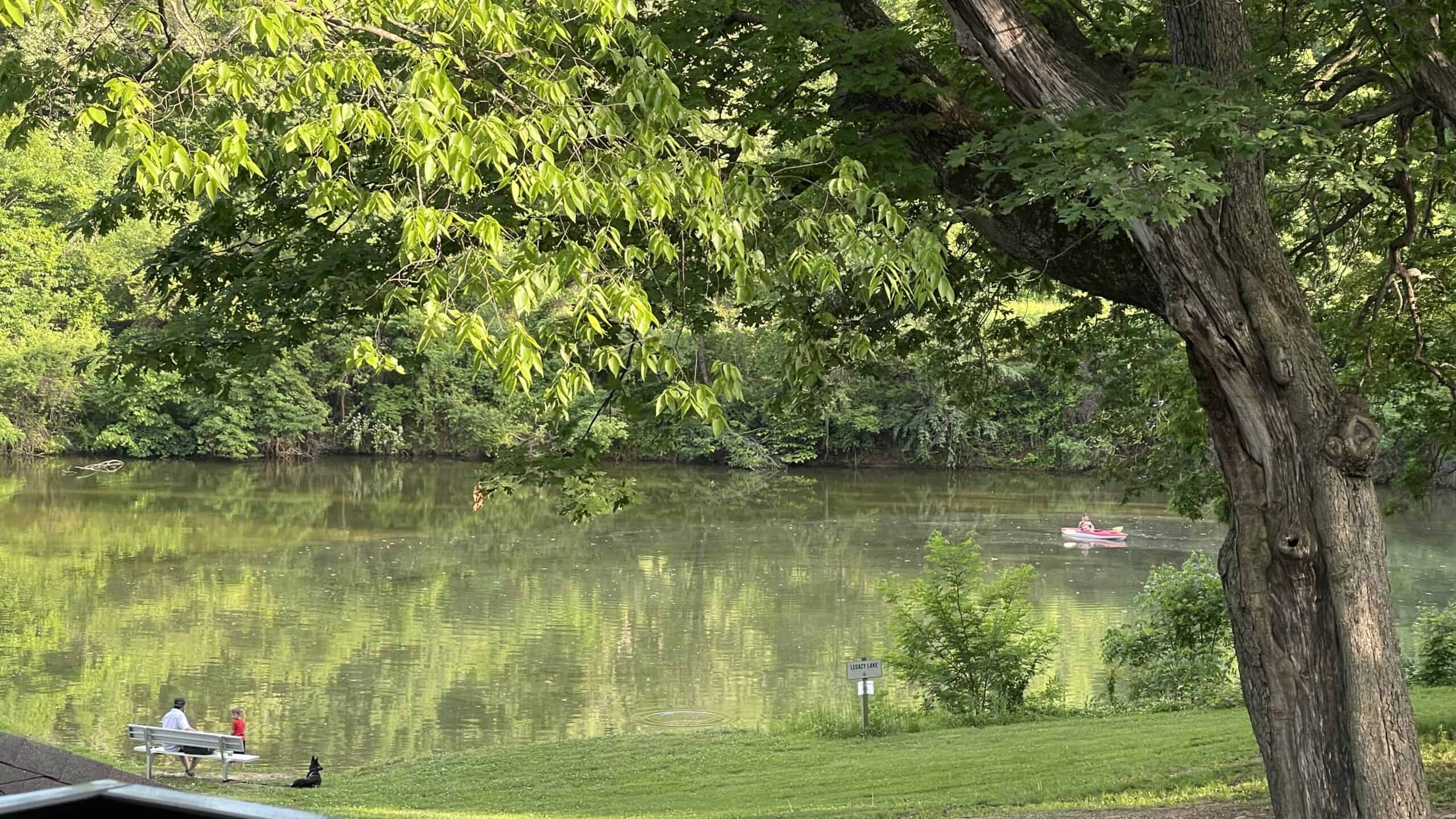 A tranquil scene by a lake with lush greenery. Two people sit on a bench near the shoreline, conversing. Across the lake, a person paddles a red kayak. Tall trees with dense foliage frame the image, and their reflections can be seen on the calm water.