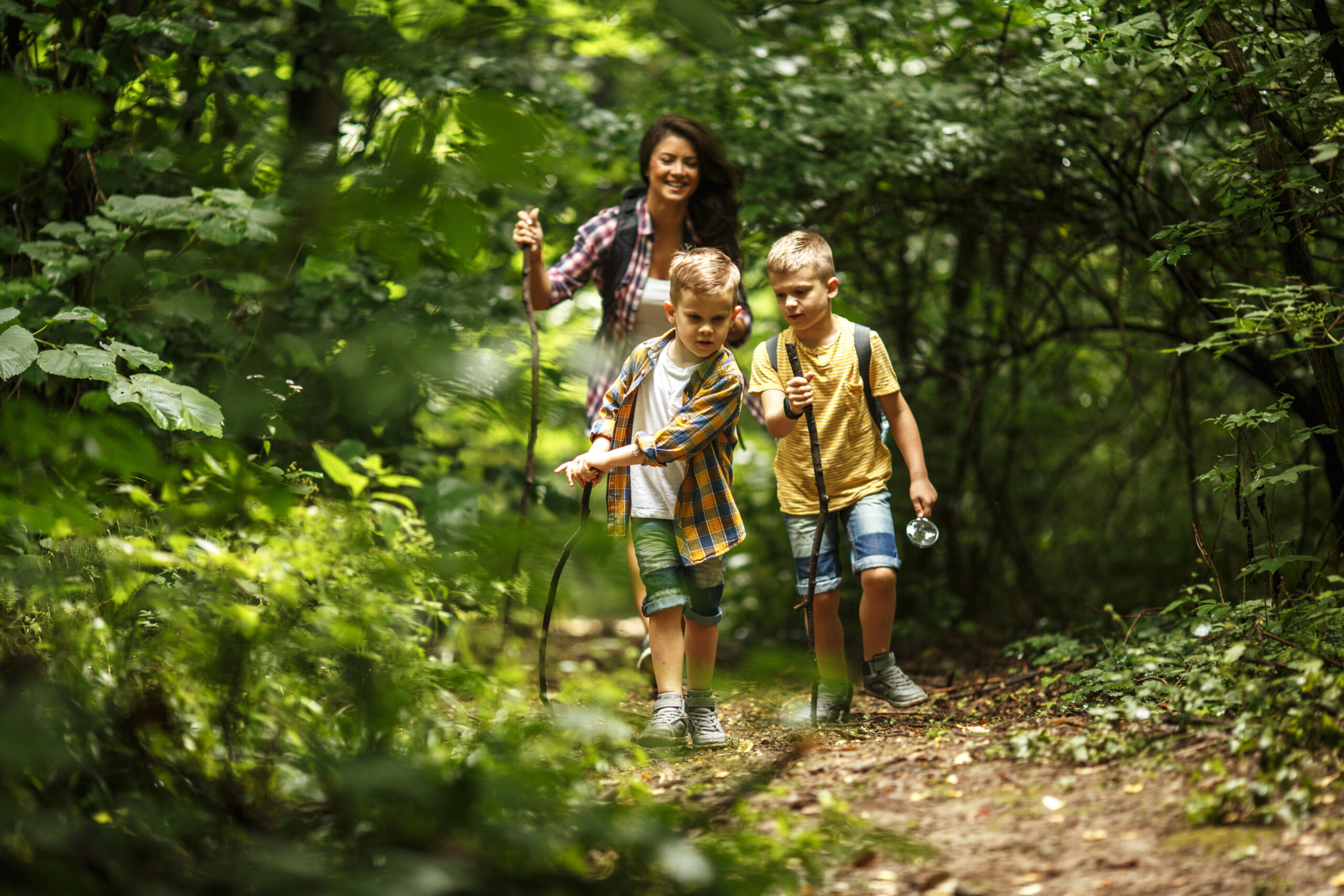 A woman and two young boys walk along a forest trail. The boys are holding sticks and appear to be exploring, while the woman follows behind, smiling. The scene is lush and green with sunlight filtering through the trees.