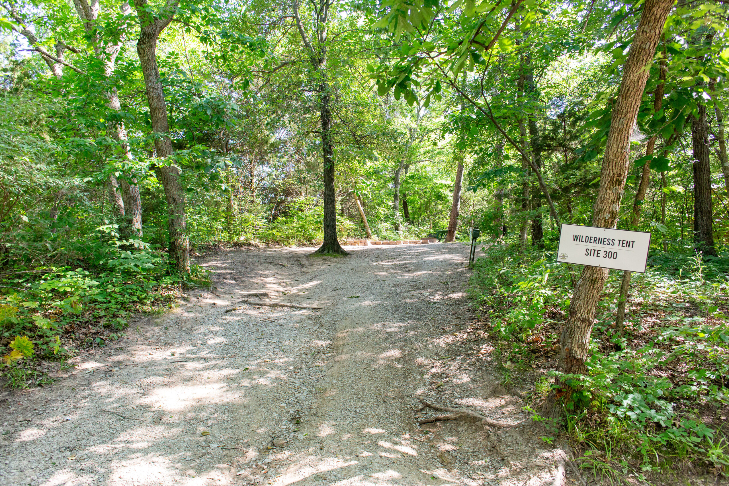 A gravel path winds through a lush, green forest under dappled sunlight. A sign on a tree to the right reads "Wilderness Tent Site 300." The scene looks peaceful and inviting for campers or hikers.