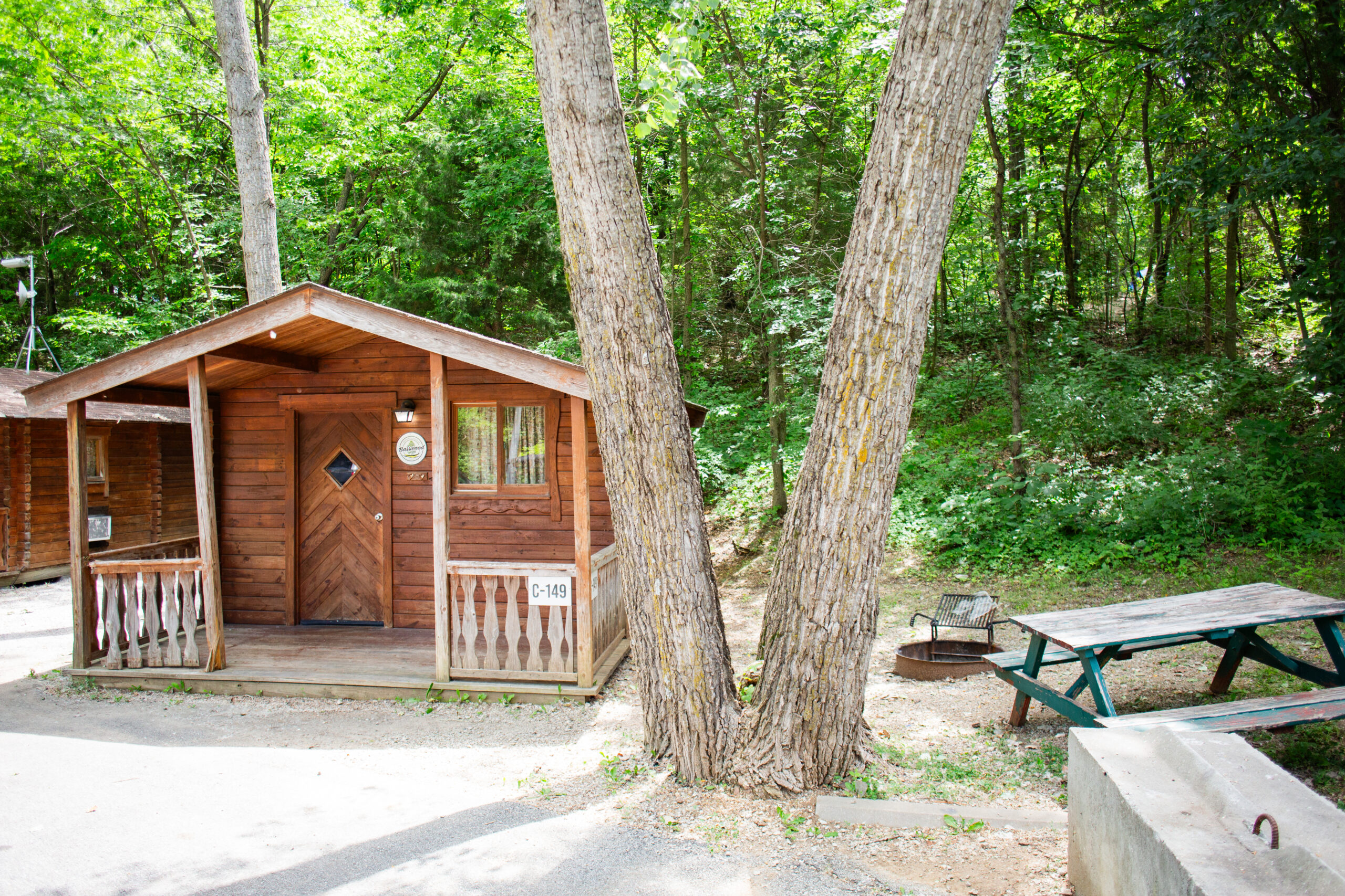 A small wooden cabin with a porch sits among tall trees. A picnic table and fire pit are nearby, surrounded by greenery and sunlight filtering through the leaves.
