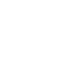 White outline of a star with a simple human figure icon inside, on a transparent background.