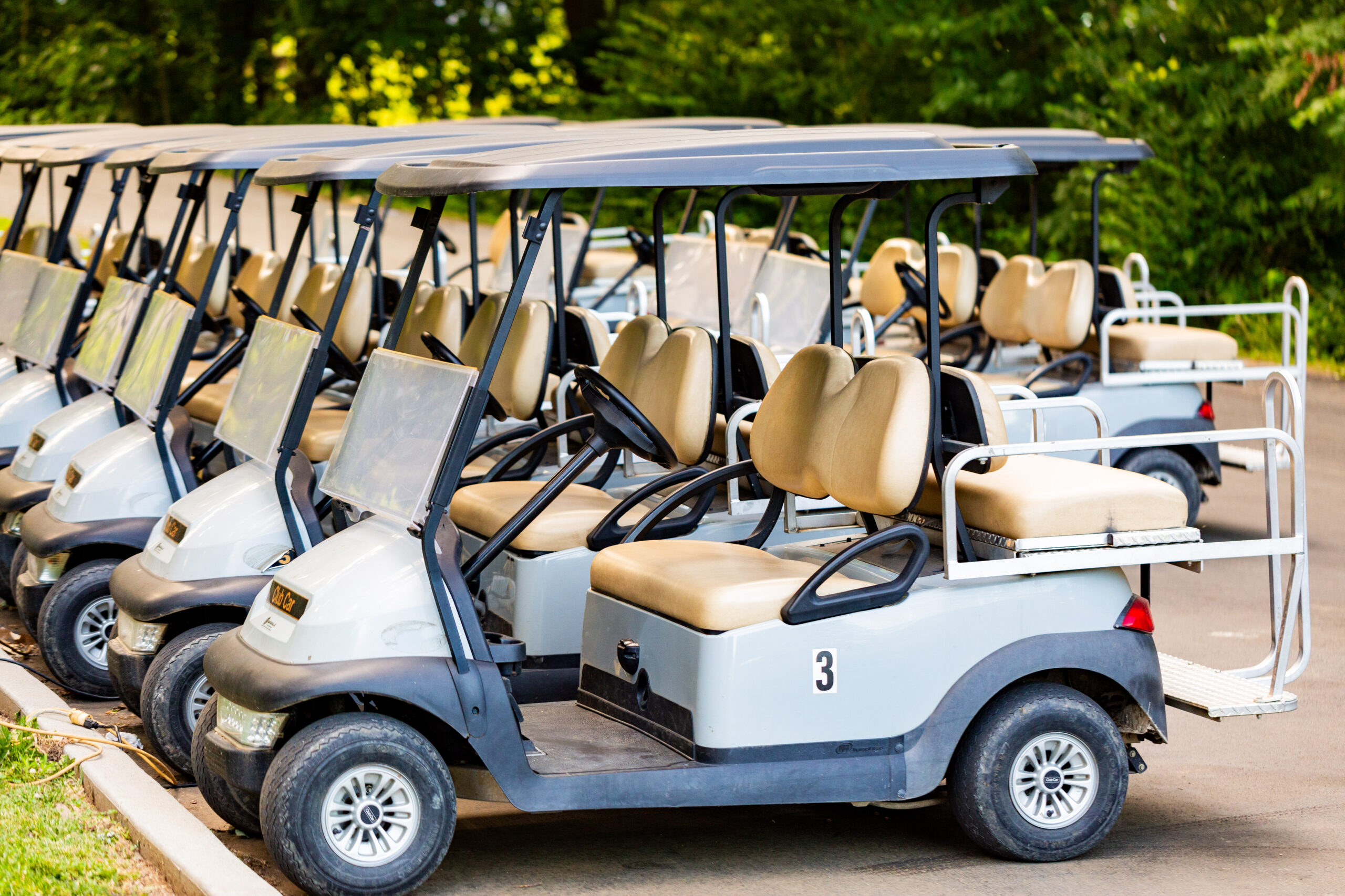 A row of white golf carts with tan seats is parked on a paved area outdoors, framed by green trees in the background. Each cart has a roof, with some displaying numbers like 3—a great addition to any Photo Gallery.