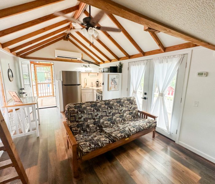A cozy, well-lit tiny house living area with exposed wooden beams, a patterned futon, a compact kitchen with stainless steel appliances, and French doors opening to a porch—perfect for a comfortable long-term stay.