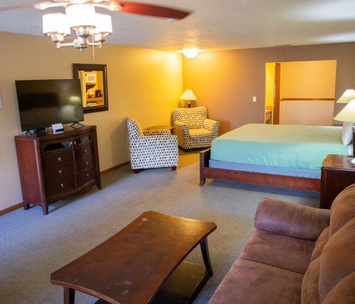 Spacious hotel room ideal for a long-term stay, featuring a bed, brown sofa, coffee table, TV on a dresser, two patterned armchairs, lamps, and mirror. Tan walls and warm lighting create a cozy atmosphere over gray carpeted floors.