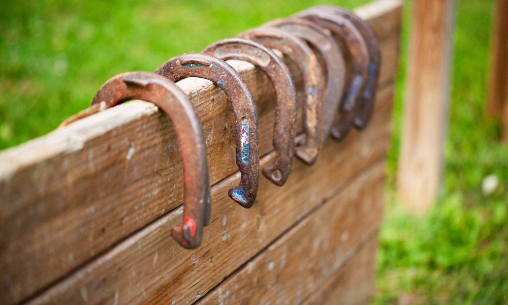 Several rusty horseshoes with traces of paint are hanging on the edge of a weathered wooden plank outdoors, with green grass visible in the background.