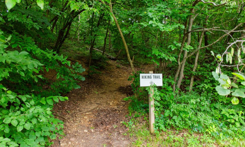 A dirt hiking trail leads into a dense, green forest, with a white sign labeled "Hiking Trail" posted beside the entrance path.