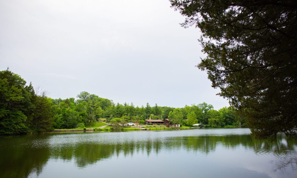 A calm lake reflects green trees and a few houses on its far shore under a cloudy sky, with large tree branches framing the image on the right.